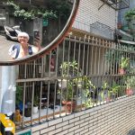 A photo of Shelley taken in a mirror on her street.