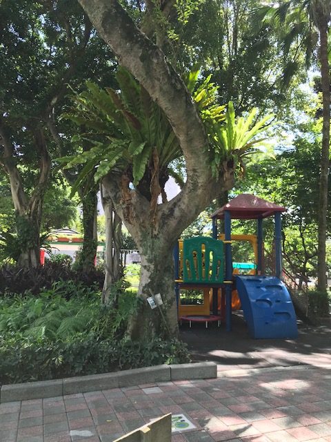 Play structure in a pocket park