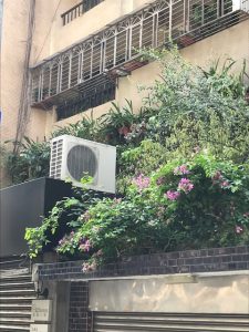 A roof covered with plants