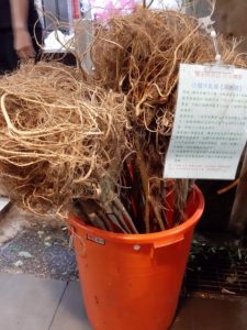 Large bucket filled with roots.