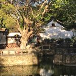A pond, a bridge, and a tree with a building behind.