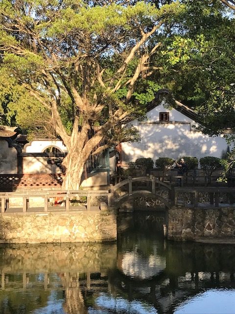 A pond, a bridge, and a tree with a building behind.