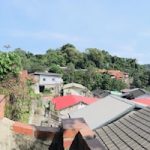 Buildings and trees