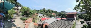 Buildings and trees
