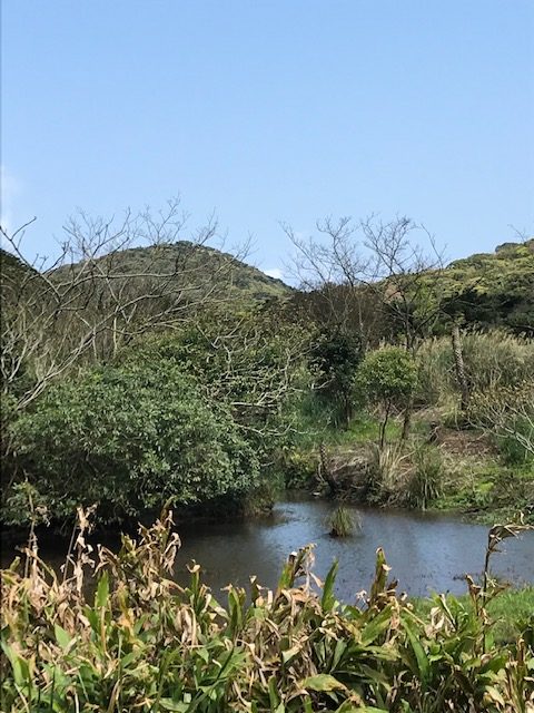 A pond in the foreground, mountains in the background.