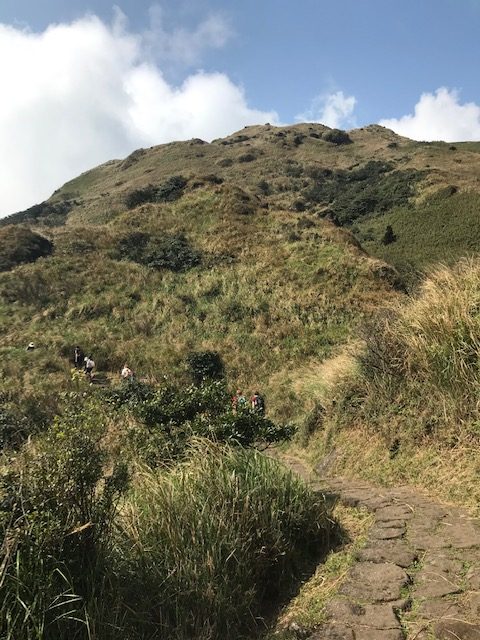 Mountain Trail
