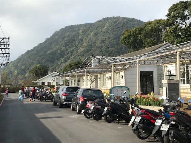 A row of houses with a mountain in the background