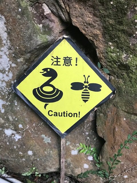 A sign with a cartoon snake and a cartoon wasp and the word "Caution"